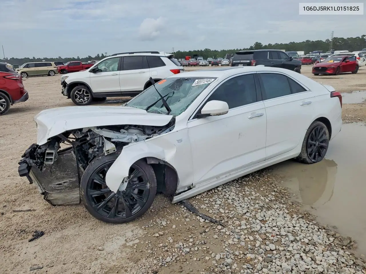 2020 Cadillac Ct4 Luxury VIN: 1G6DJ5RK1L0151825 Lot: 56531246