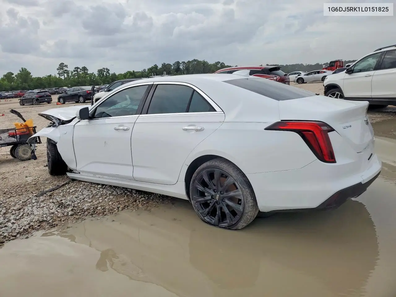 2020 Cadillac Ct4 Luxury VIN: 1G6DJ5RK1L0151825 Lot: 56531246