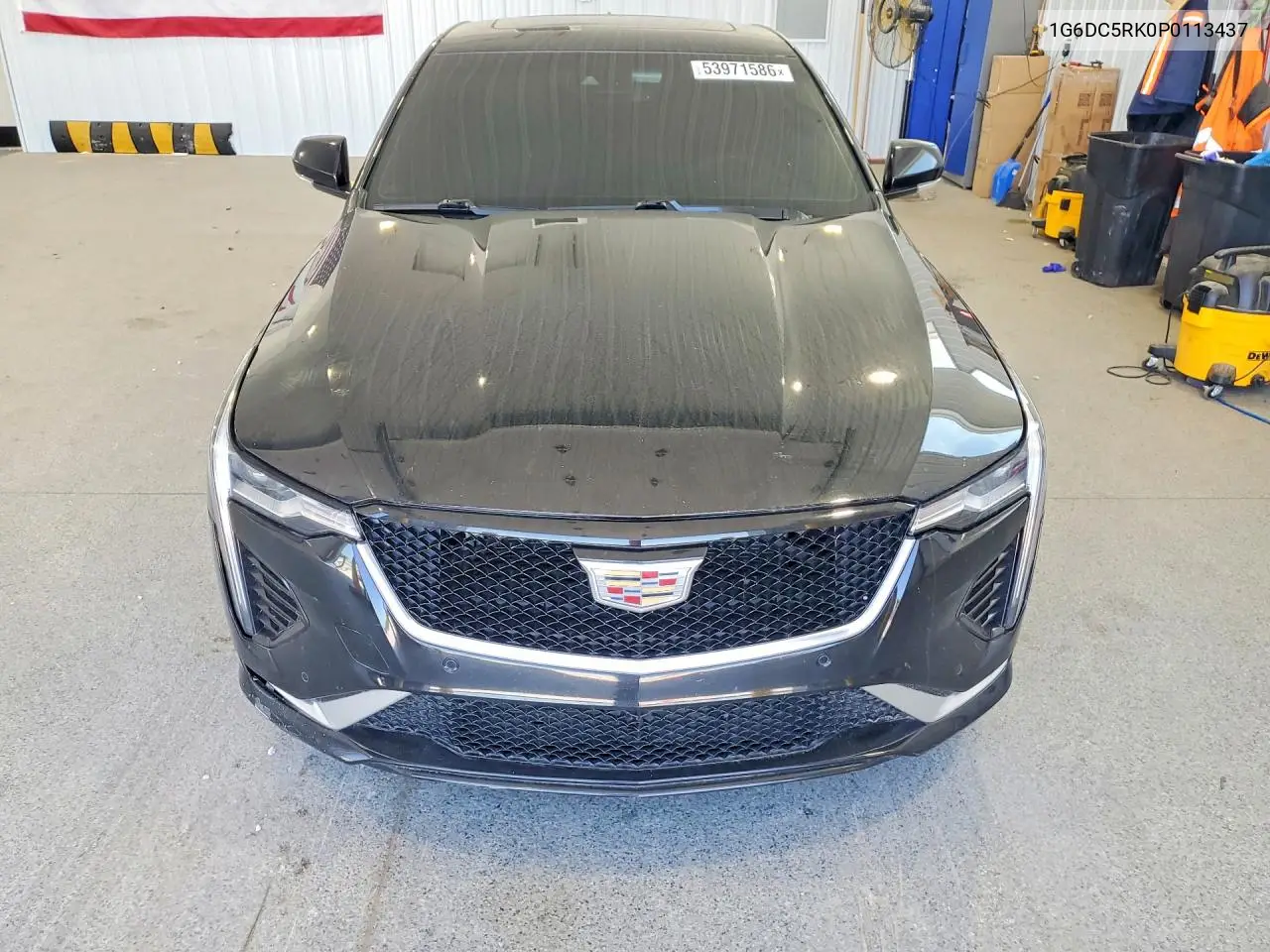 2023 Cadillac Ct4 Sport VIN: 1G6DC5RK0P0113437 Lot: 53971586