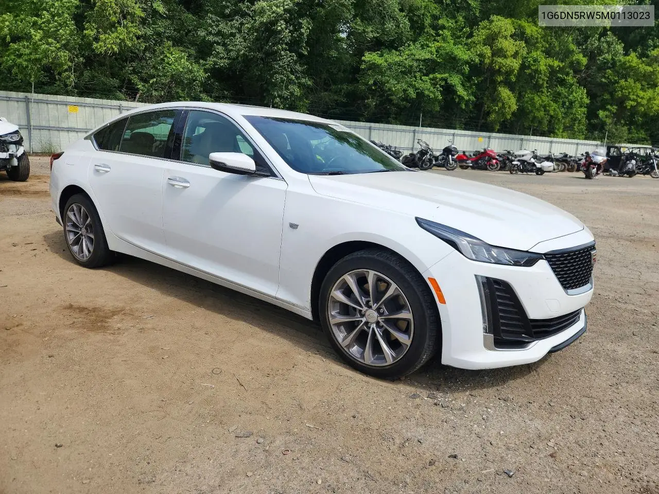 2021 Cadillac Ct5 Premium Luxury VIN: 1G6DN5RW5M0113023 Lot: 53736866