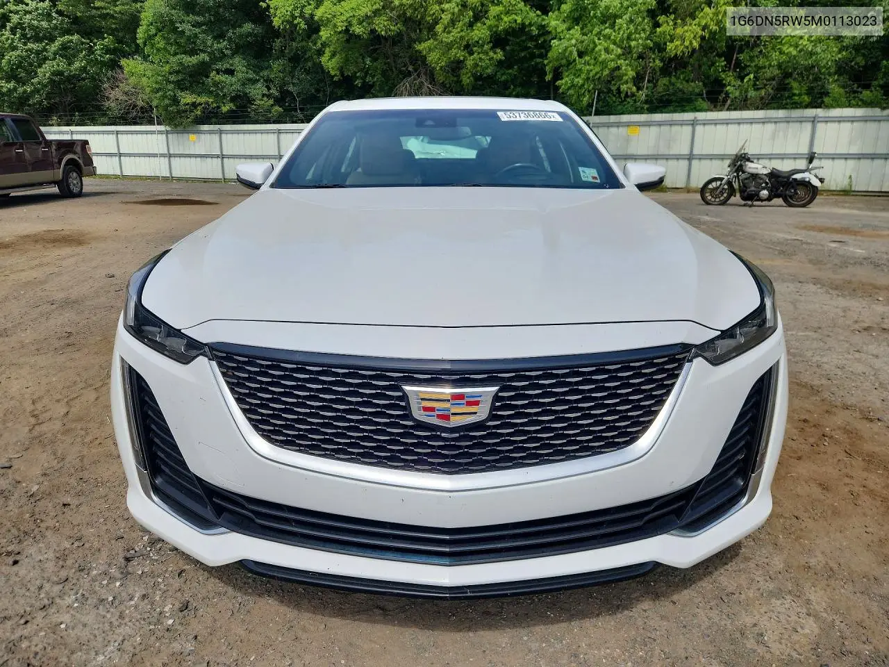 2021 Cadillac Ct5 Premium Luxury VIN: 1G6DN5RW5M0113023 Lot: 53736866