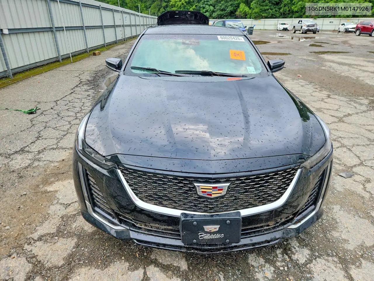 2021 Cadillac Ct5 Premium Luxury VIN: 1G6DN5RK1M0147926 Lot: 60020426