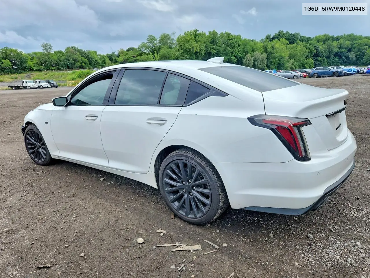 2021 Cadillac Ct5 Premium Luxury VIN: 1G6DT5RW9M0120448 Lot: 61610296