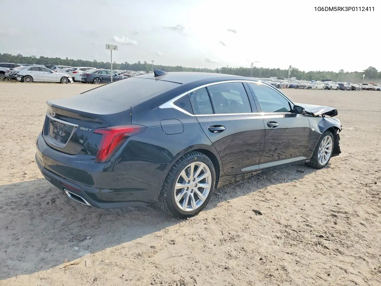 2023 Cadillac Ct5 VIN: 1G6DM5RK3P0112411 Lot: 51569516