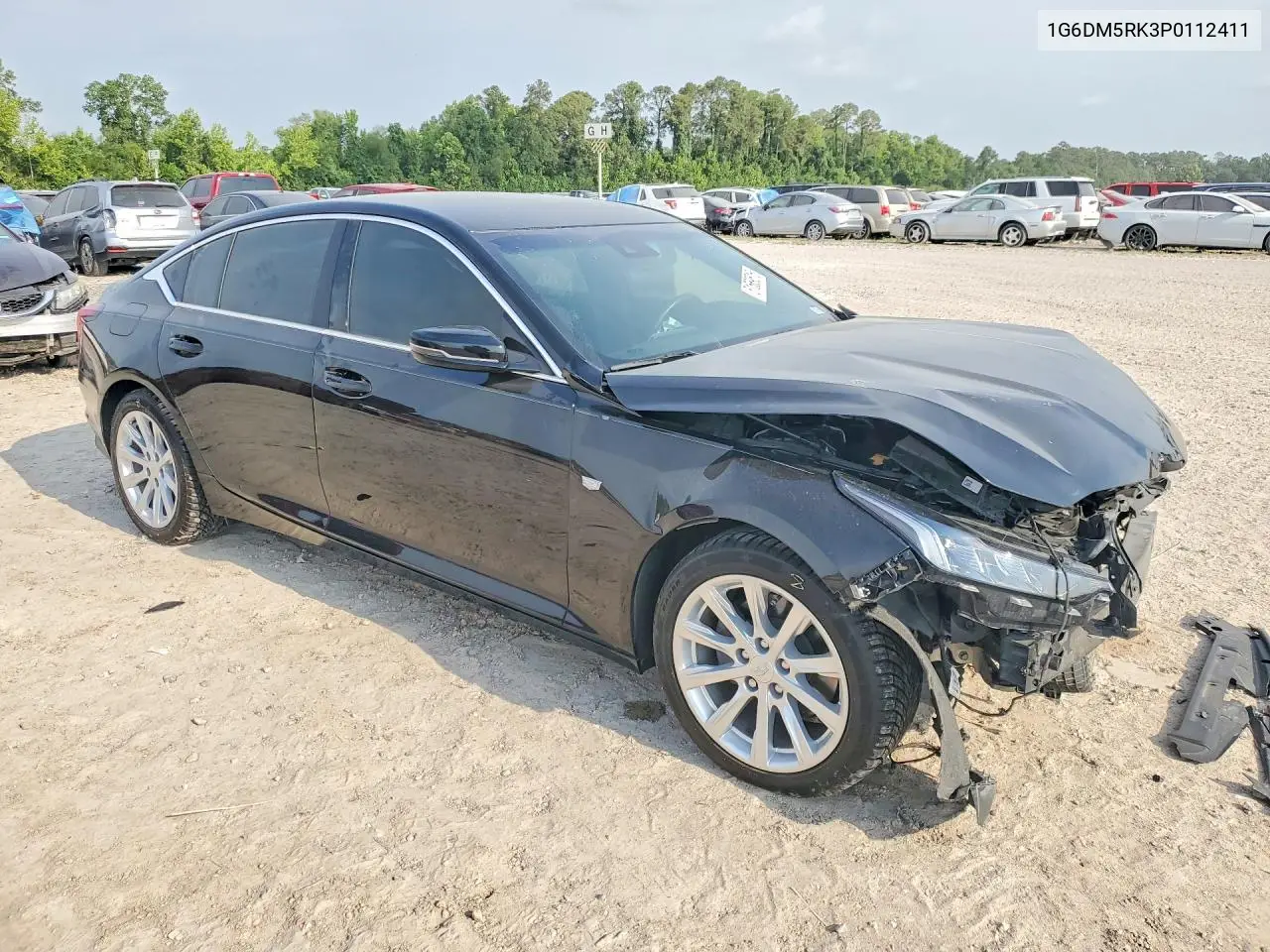 2023 Cadillac Ct5 VIN: 1G6DM5RK3P0112411 Lot: 51569516