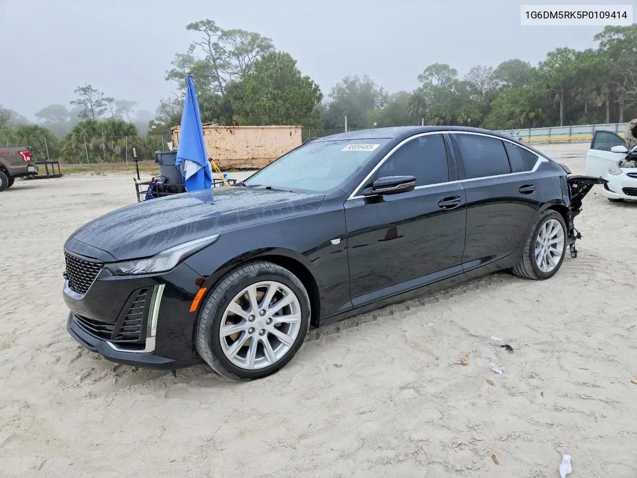 2023 Cadillac Ct5 Luxury VIN: 1G6DM5RK5P0109414 Lot: 98858485