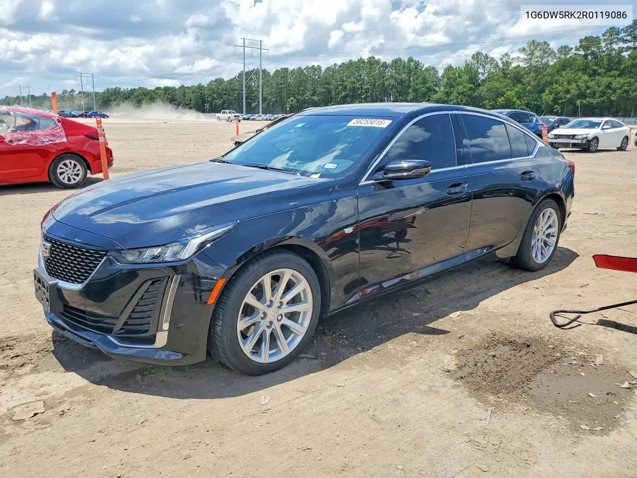 2024 Cadillac Ct5 Luxury VIN: 1G6DW5RK2R0119086 Lot: 56255016