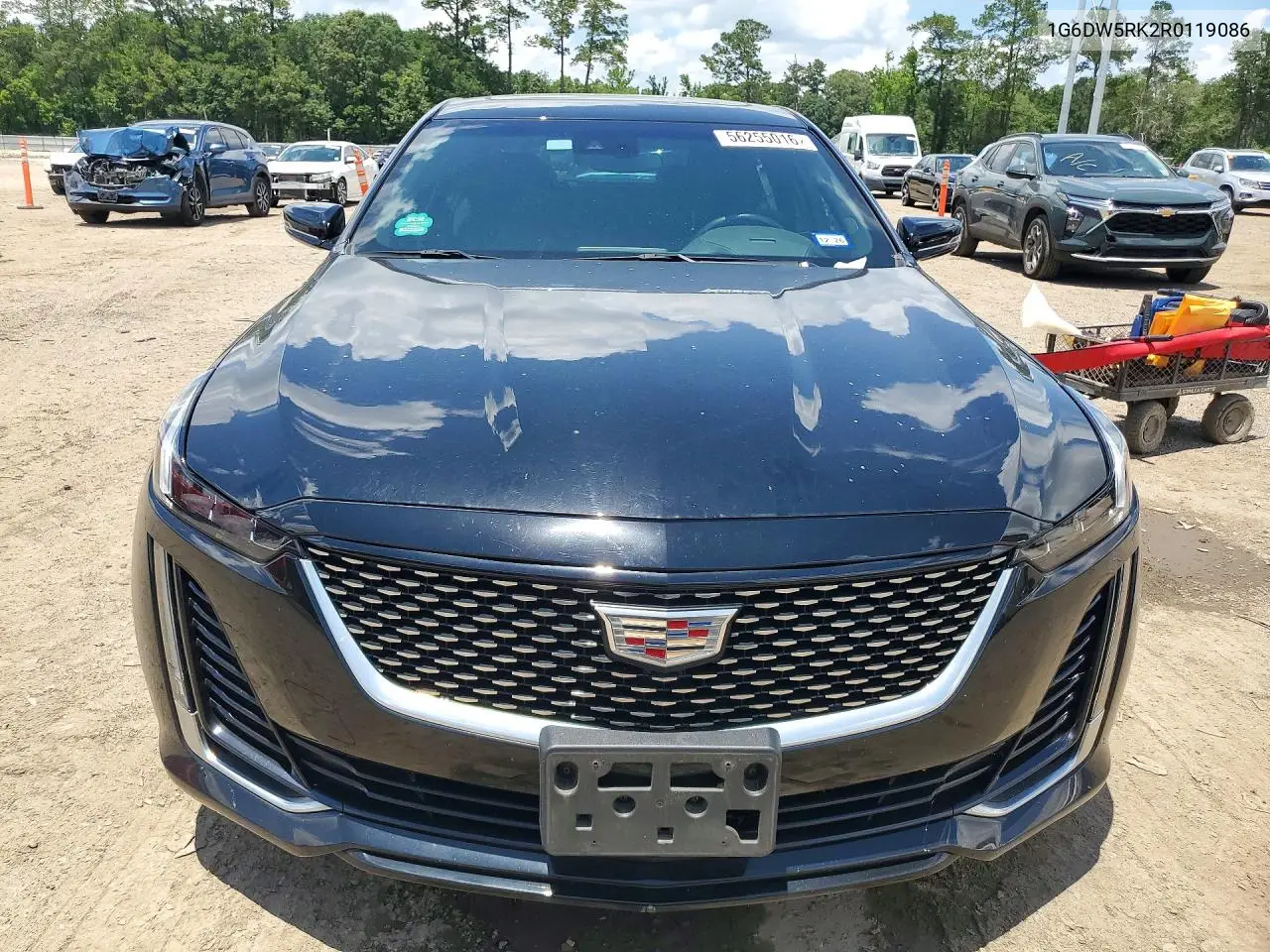 2024 Cadillac Ct5 Luxury VIN: 1G6DW5RK2R0119086 Lot: 56255016