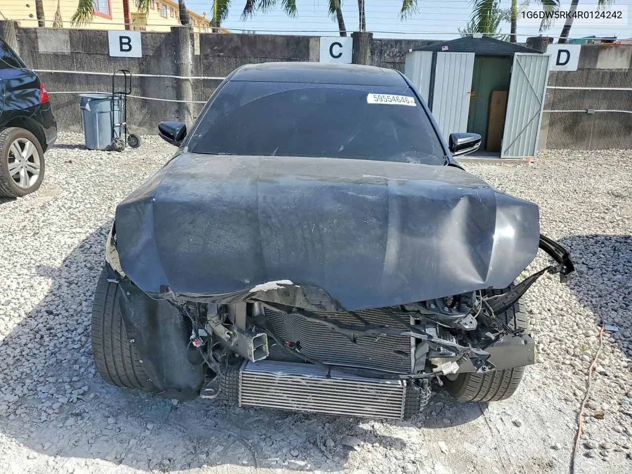 2024 Cadillac Ct5 Luxury VIN: 1G6DW5RK4R0124242 Lot: 59554646
