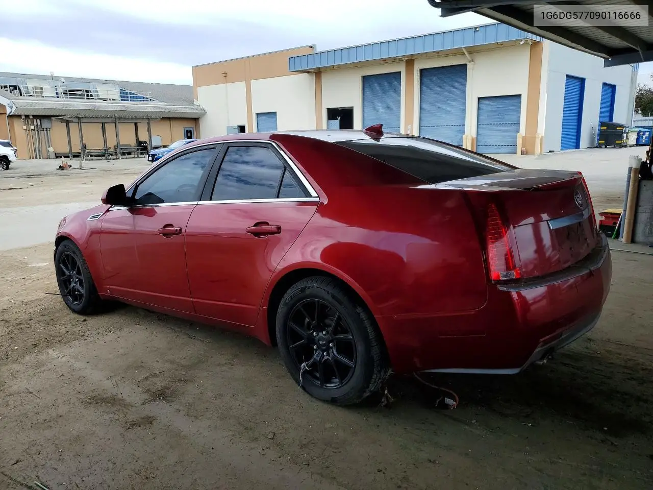 2009 Cadillac Cts VIN: 1G6DG577090116666 Lot: 61263456