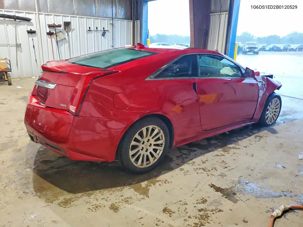 2011 Cadillac Cts Premium Collection VIN: 1G6DS1ED2B0120529 Lot: 55971176