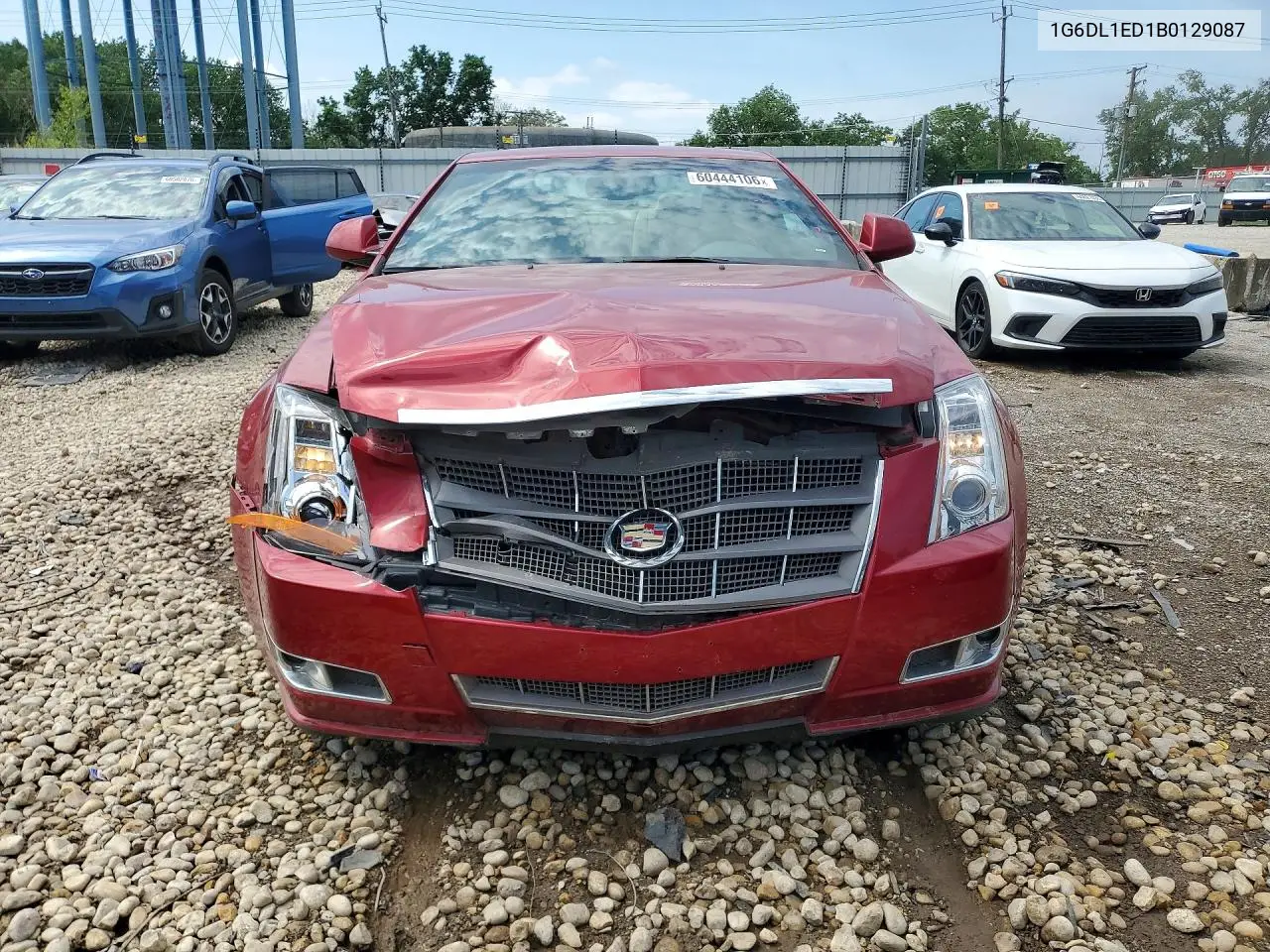 2011 Cadillac Cts Performance Collection VIN: 1G6DL1ED1B0129087 Lot: 60444106