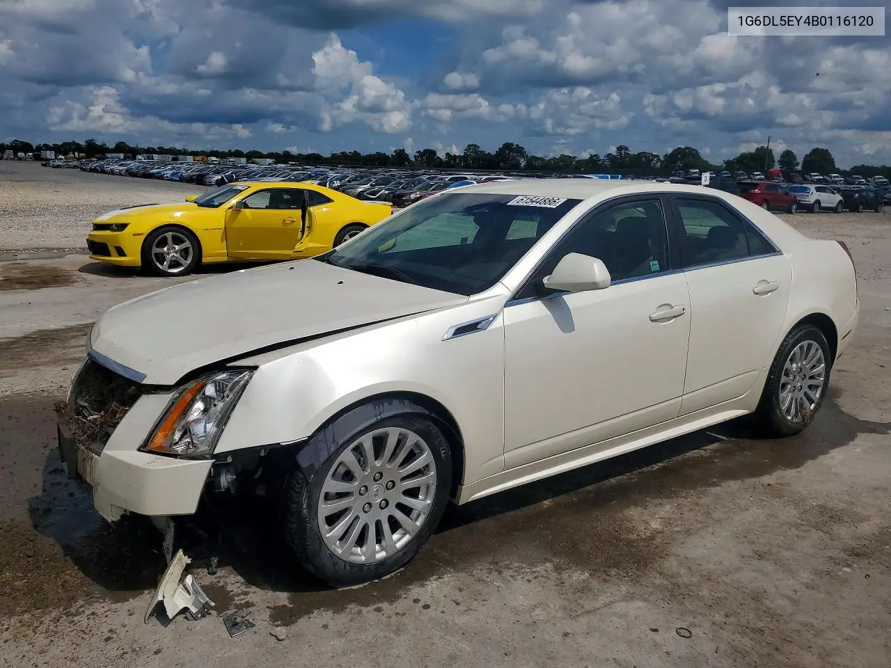 2011 Cadillac Cts Performance Collection VIN: 1G6DL5EY4B0116120 Lot: 61544886