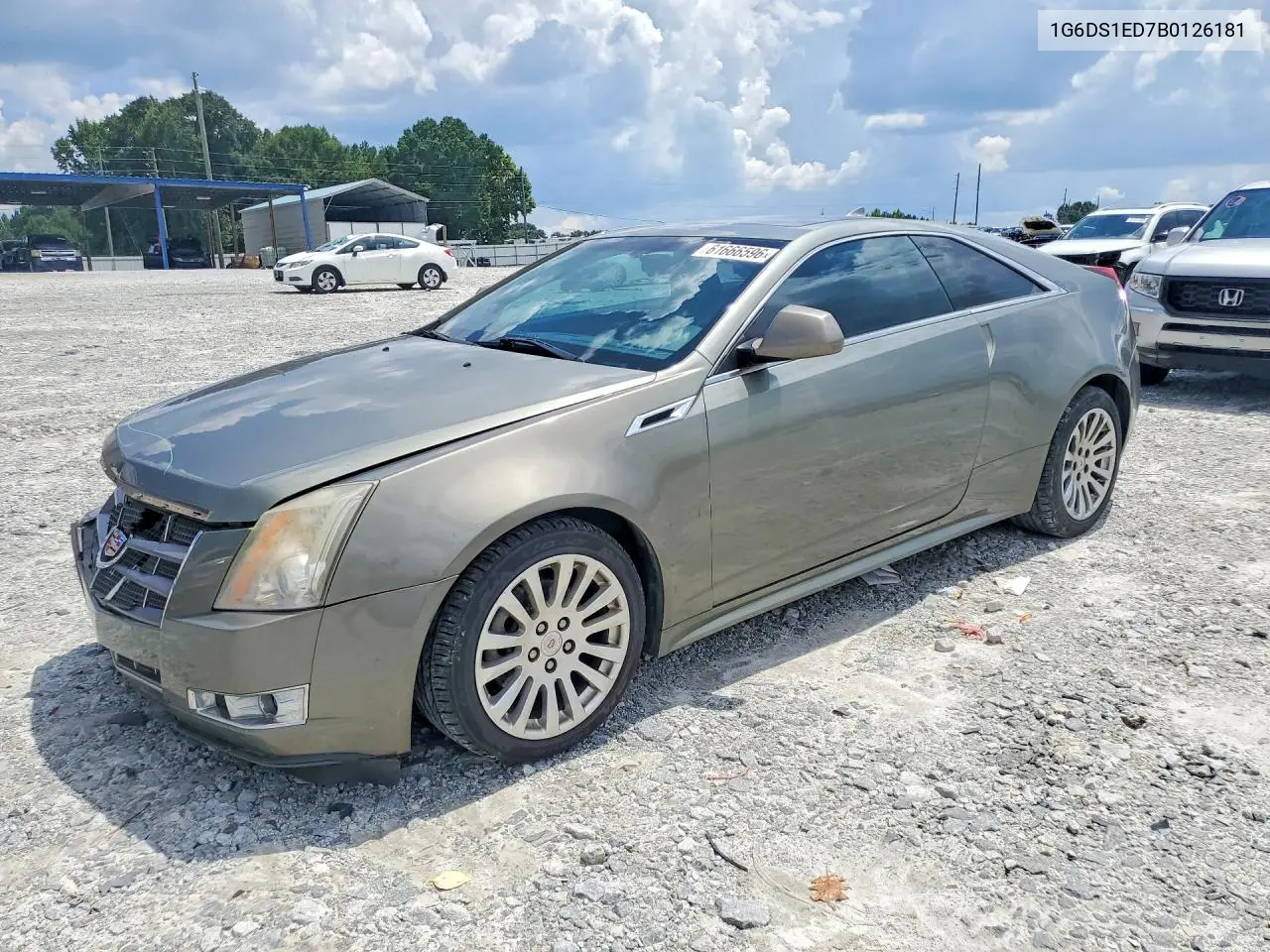 2011 Cadillac Cts Premium Collection VIN: 1G6DS1ED7B0126181 Lot: 61666596