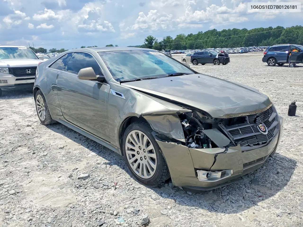 2011 Cadillac Cts Premium Collection VIN: 1G6DS1ED7B0126181 Lot: 61666596