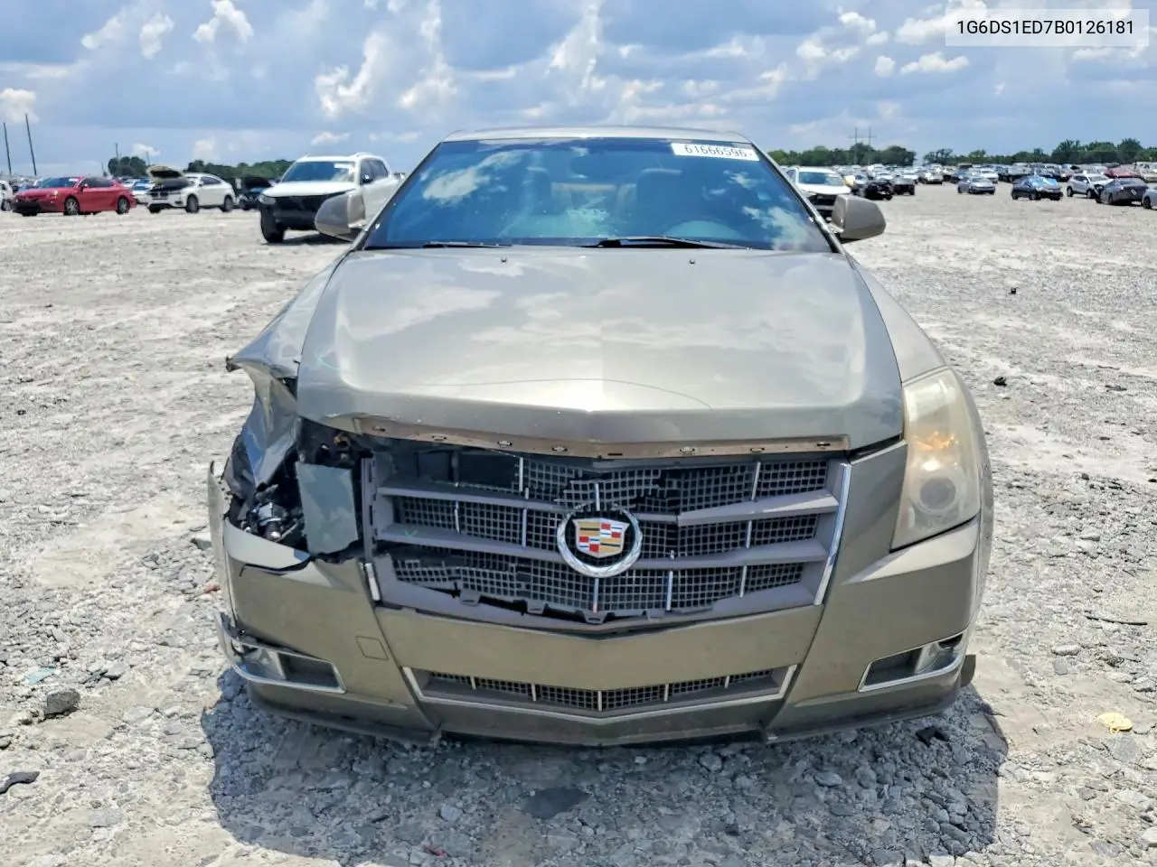 2011 Cadillac Cts Premium Collection VIN: 1G6DS1ED7B0126181 Lot: 61666596