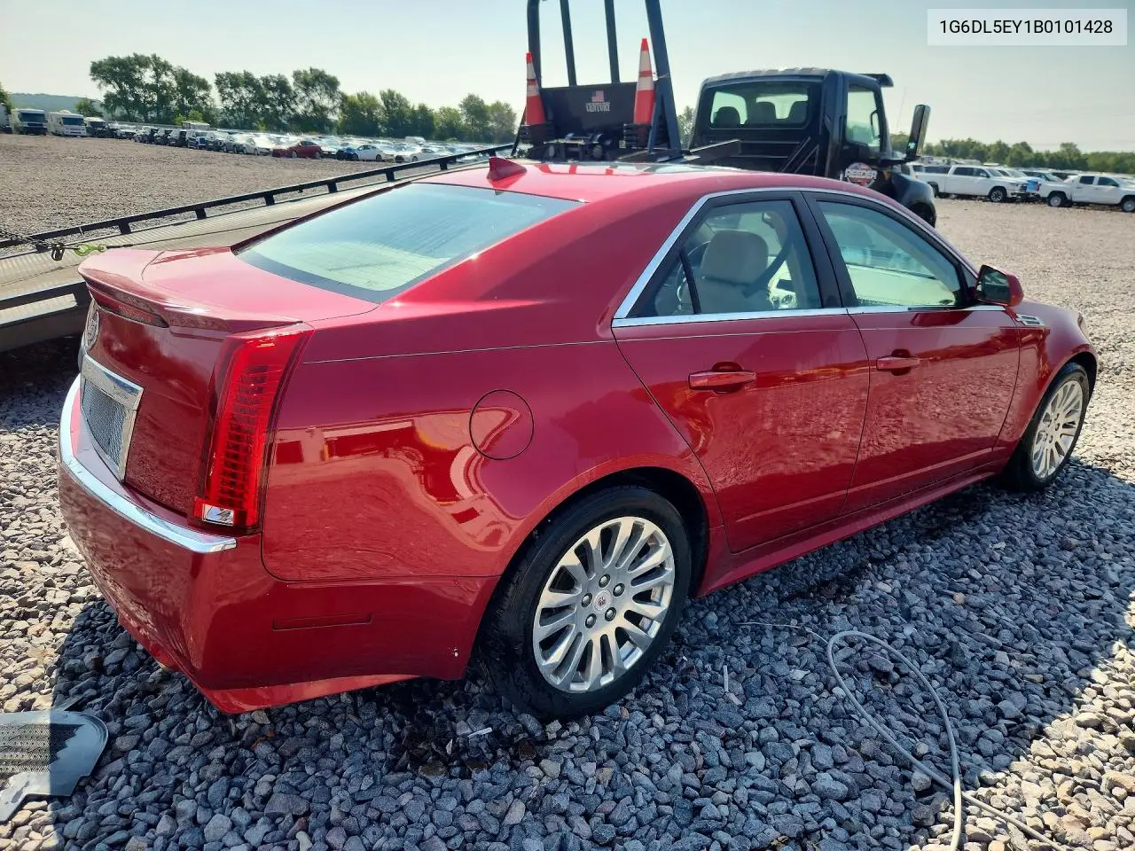 2011 Cadillac Cts Performance Collection VIN: 1G6DL5EY1B0101428 Lot: 61731186