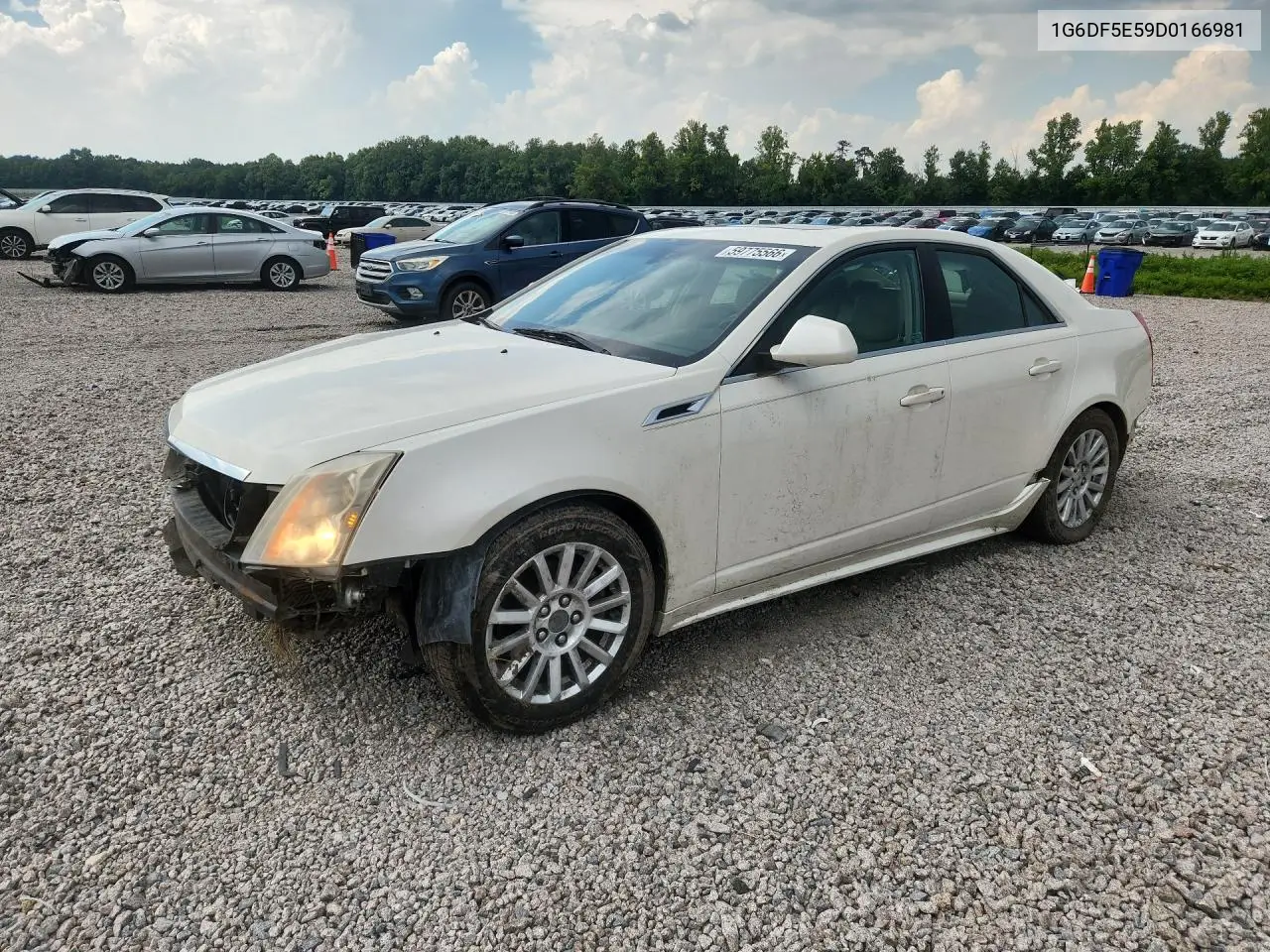 2013 Cadillac Cts Luxury Collection VIN: 1G6DF5E59D0166981 Lot: 59775566