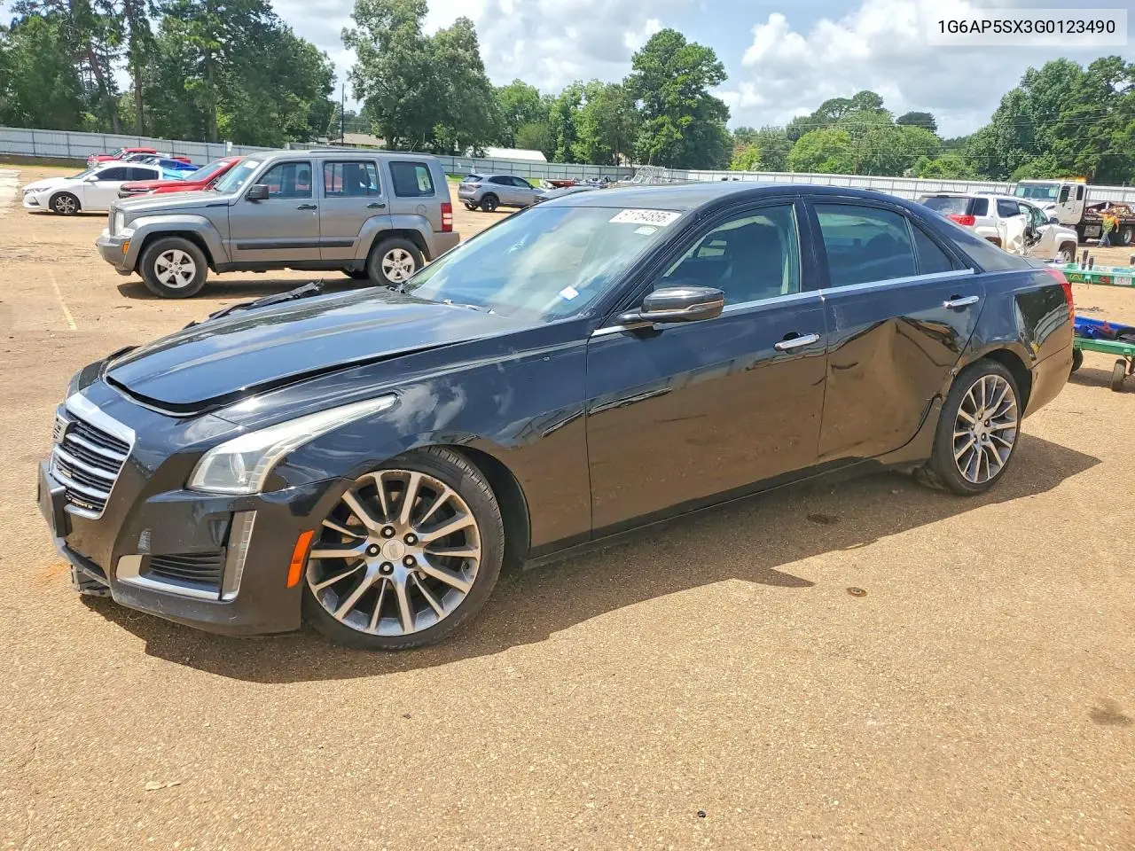 2016 Cadillac Cts VIN: 1G6AP5SX3G0123490 Lot: 61154856