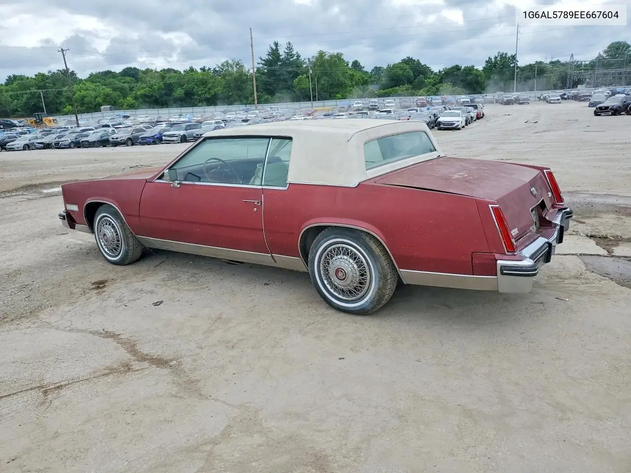 1984 Cadillac Eldorado VIN: 1G6AL5789EE667604 Lot: 56779766
