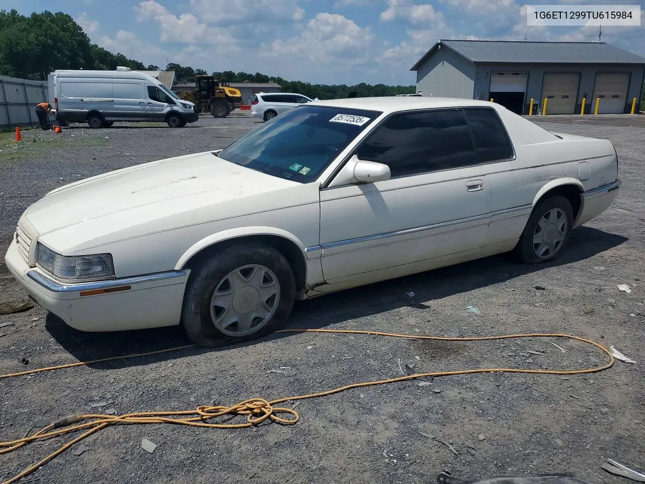 1996 Cadillac Eldorado Touring VIN: 1G6ET1299TU615984 Lot: 85772535