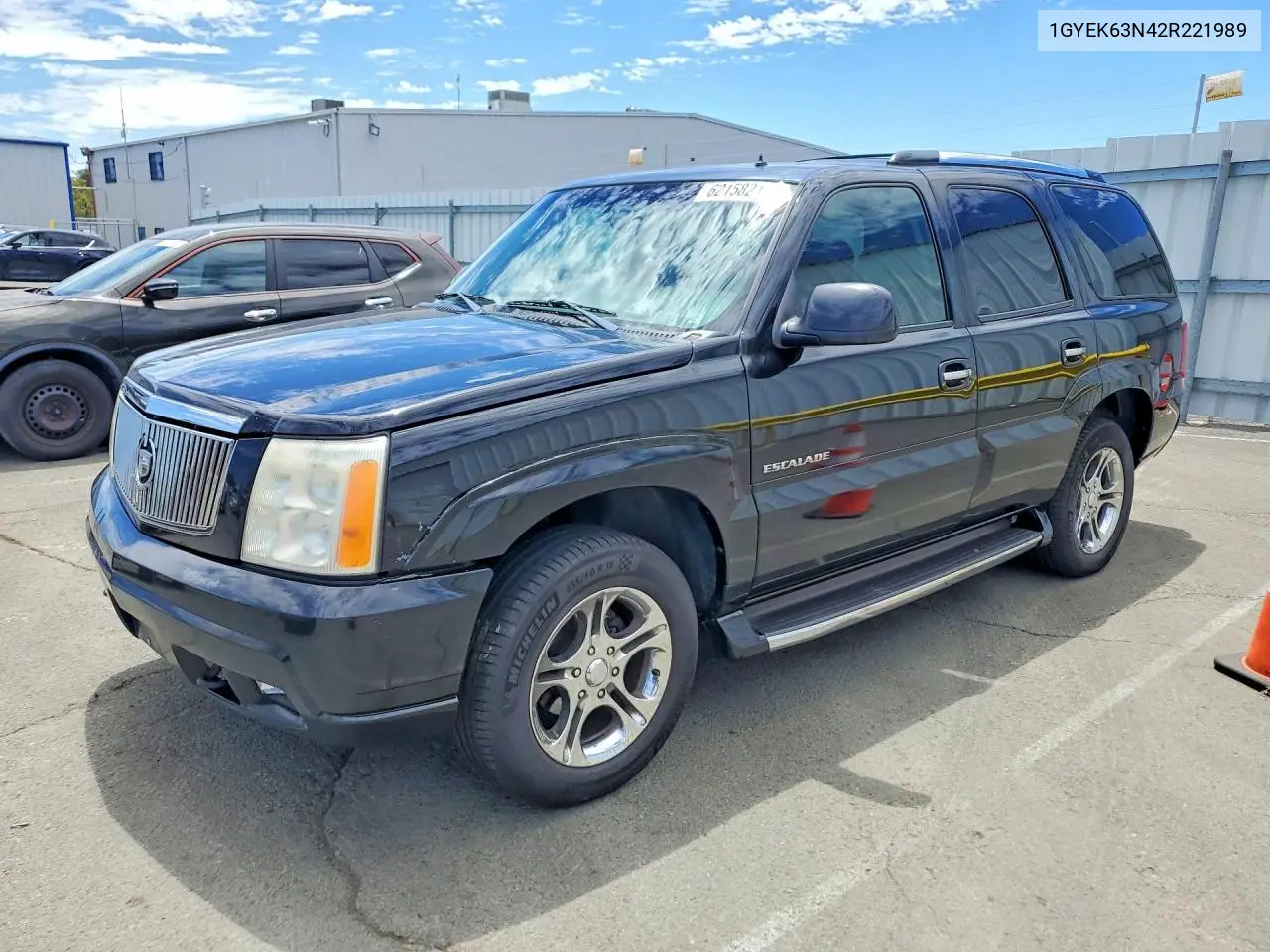 2002 Cadillac Escalade Luxury VIN: 1GYEK63N42R221989 Lot: 62158216