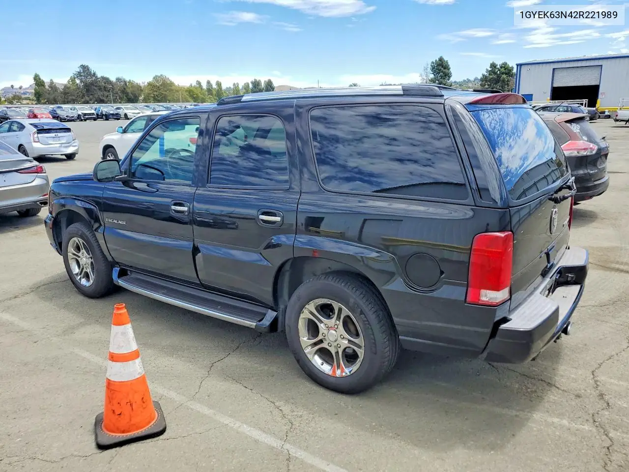 2002 Cadillac Escalade Luxury VIN: 1GYEK63N42R221989 Lot: 62158216
