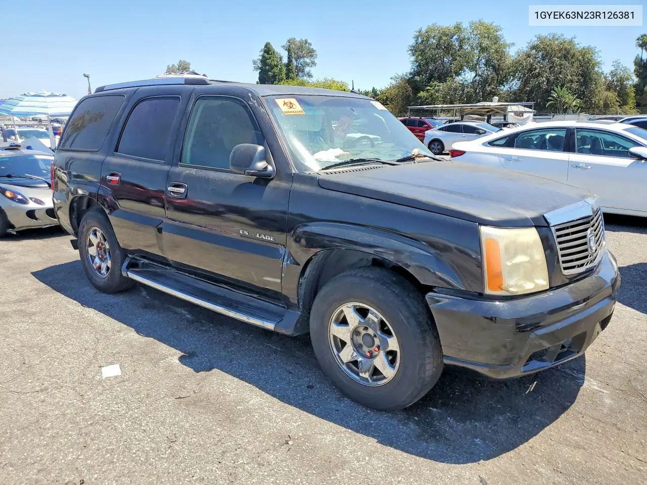2003 Cadillac Escalade Luxury VIN: 1GYEK63N23R126381 Lot: 61820526