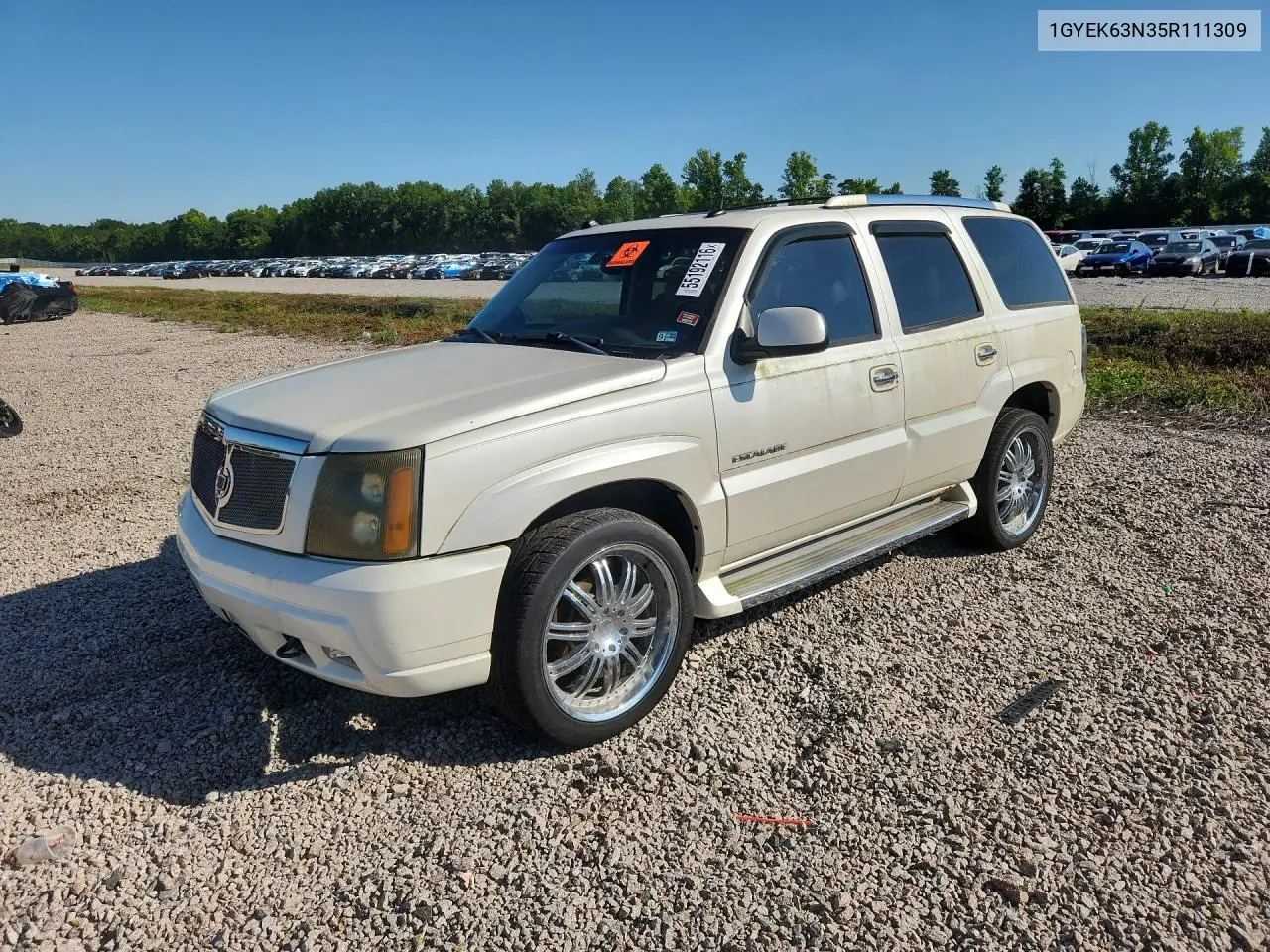 2005 Cadillac Escalade Luxury VIN: 1GYEK63N35R111309 Lot: 55192116