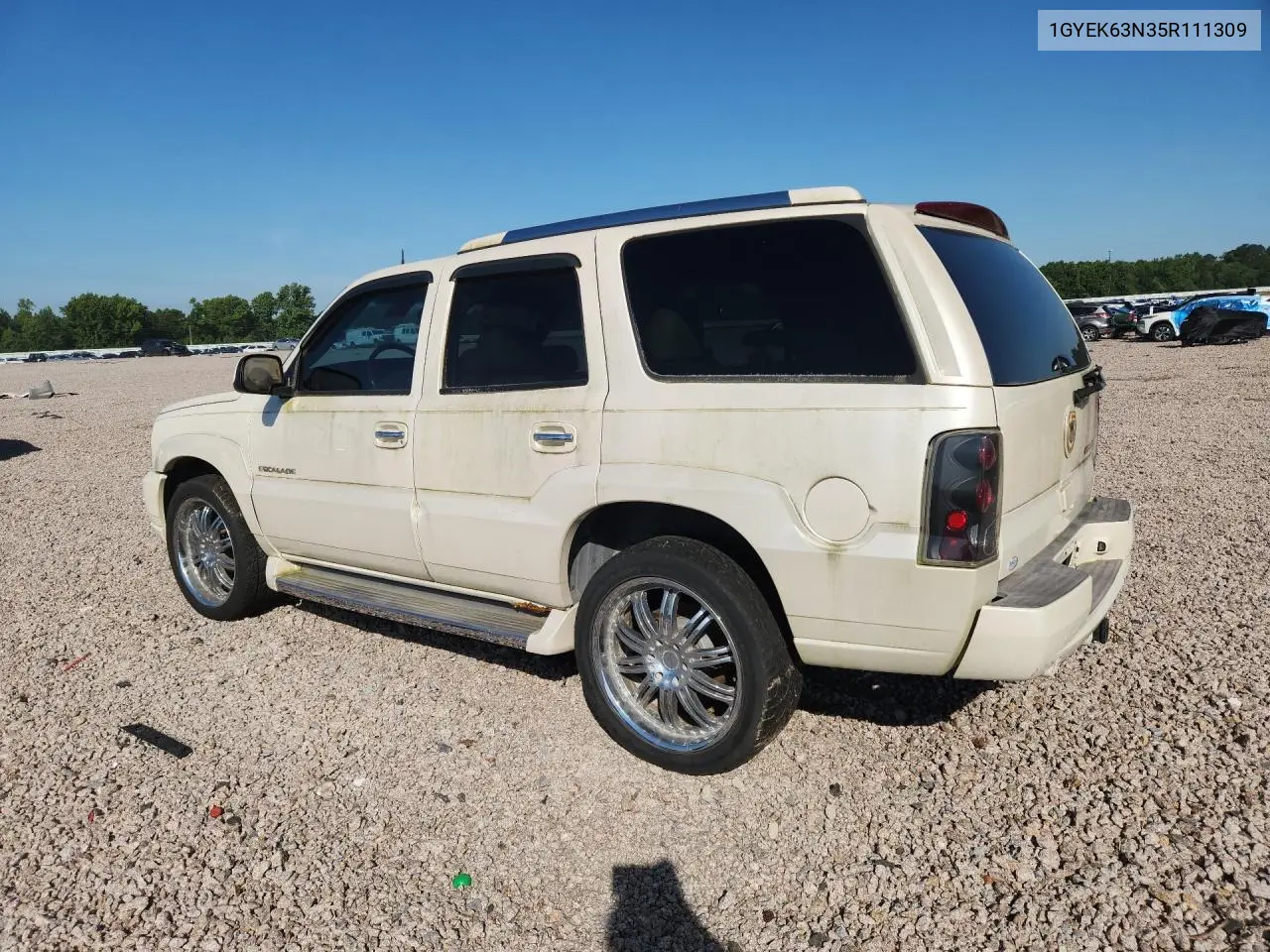2005 Cadillac Escalade Luxury VIN: 1GYEK63N35R111309 Lot: 55192116