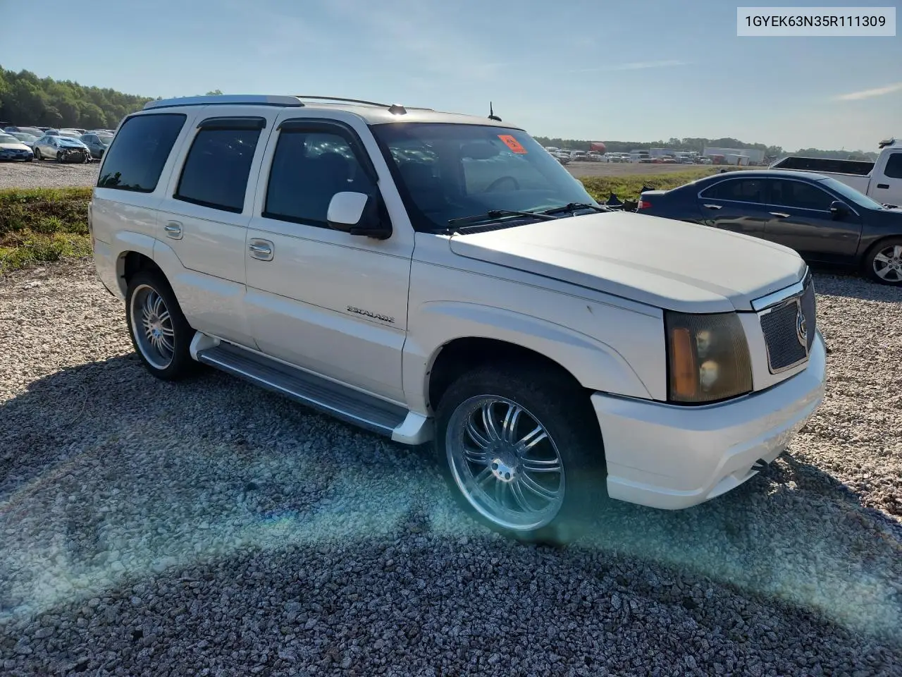 2005 Cadillac Escalade Luxury VIN: 1GYEK63N35R111309 Lot: 55192116