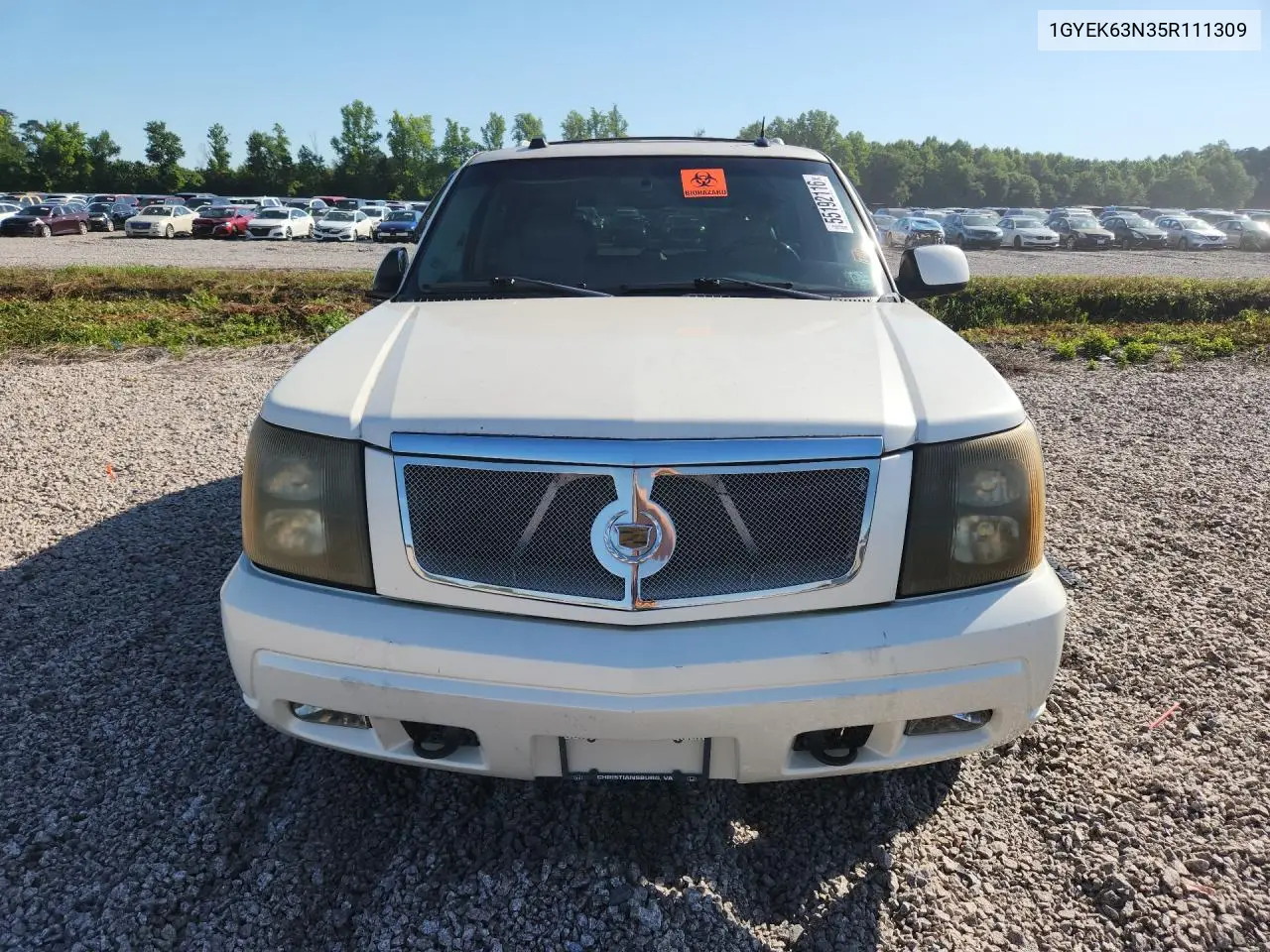 2005 Cadillac Escalade Luxury VIN: 1GYEK63N35R111309 Lot: 55192116