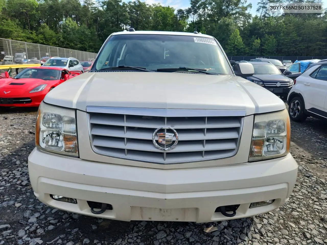 2005 Cadillac Escalade Esv VIN: 3GYFK66N25G137528 Lot: 59808666