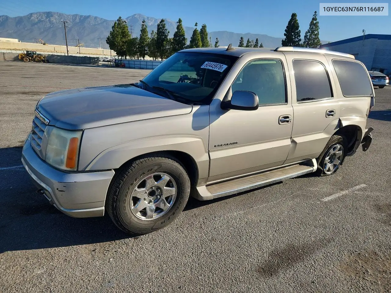 2006 Cadillac Escalade Luxury VIN: 1GYEC63N76R116687 Lot: 60445976
