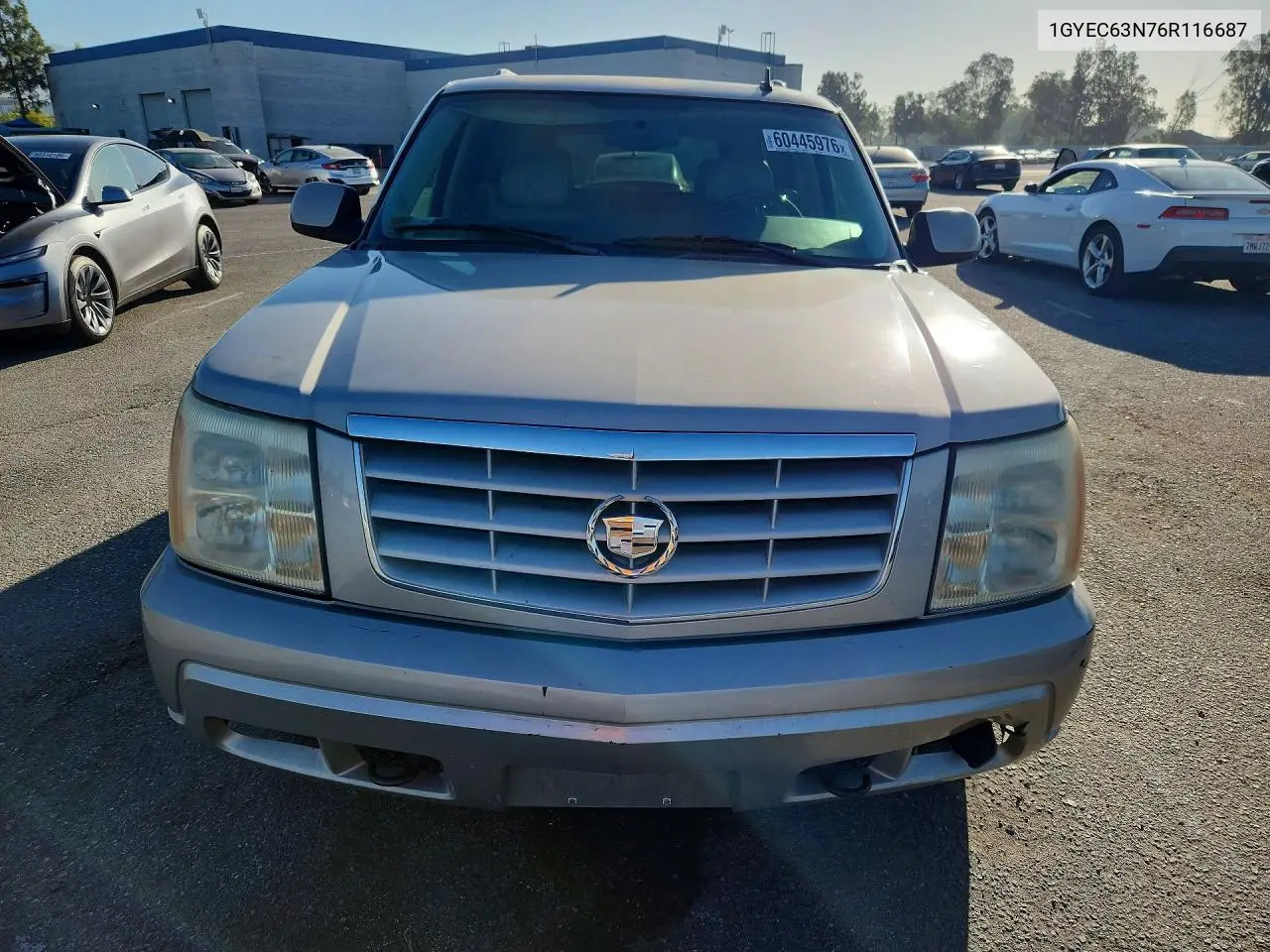 2006 Cadillac Escalade Luxury VIN: 1GYEC63N76R116687 Lot: 60445976