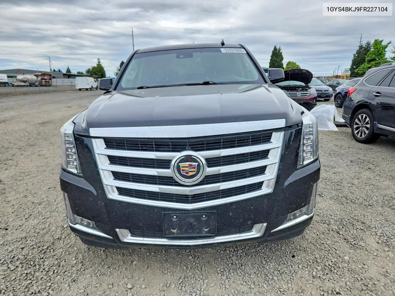 2015 Cadillac Escalade Luxury VIN: 1GYS4BKJ9FR227104 Lot: 55397866