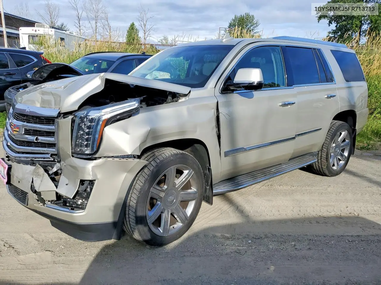 2015 Cadillac Escalade Luxury VIN: 1GYS4MKJ5FR713713 Lot: 59000966