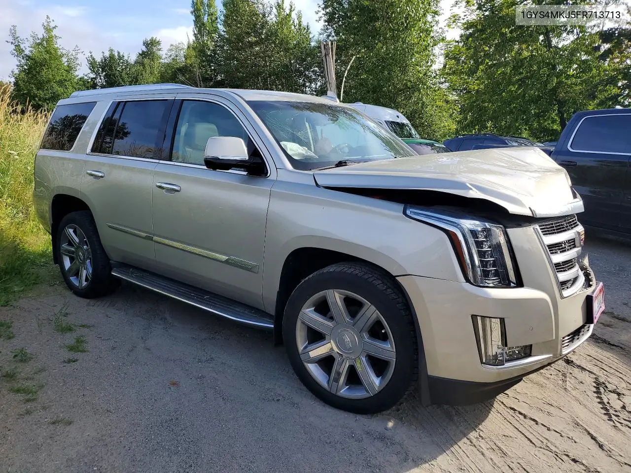 2015 Cadillac Escalade Luxury VIN: 1GYS4MKJ5FR713713 Lot: 59000966