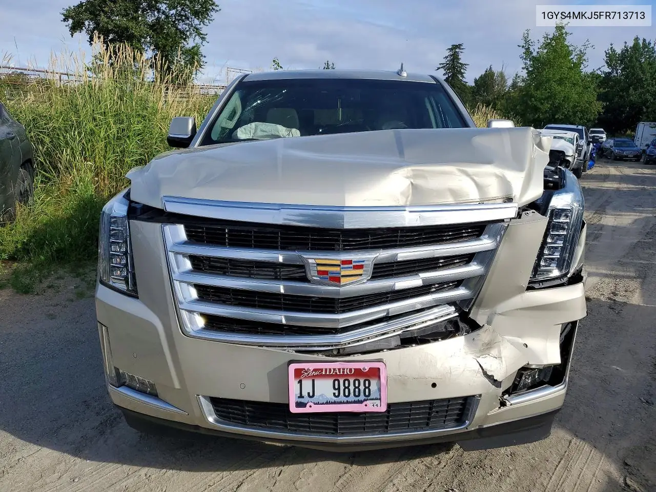2015 Cadillac Escalade Luxury VIN: 1GYS4MKJ5FR713713 Lot: 59000966