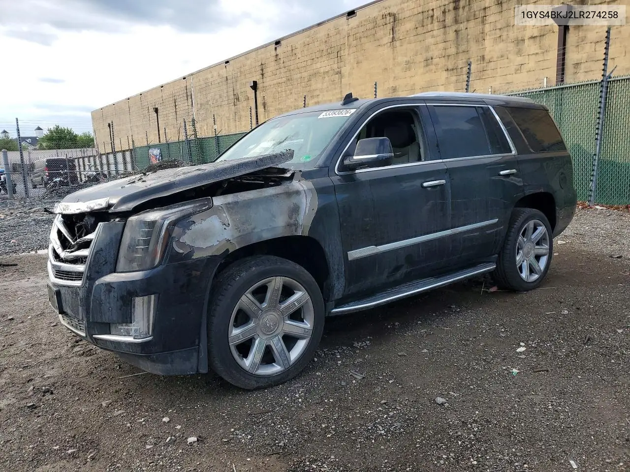 2020 Cadillac Escalade VIN: 1GYS4BKJ2LR274258 Lot: 53393826
