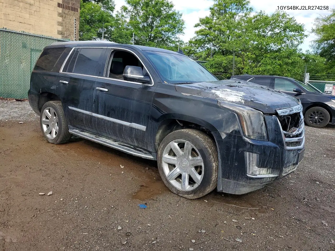 2020 Cadillac Escalade VIN: 1GYS4BKJ2LR274258 Lot: 53393826