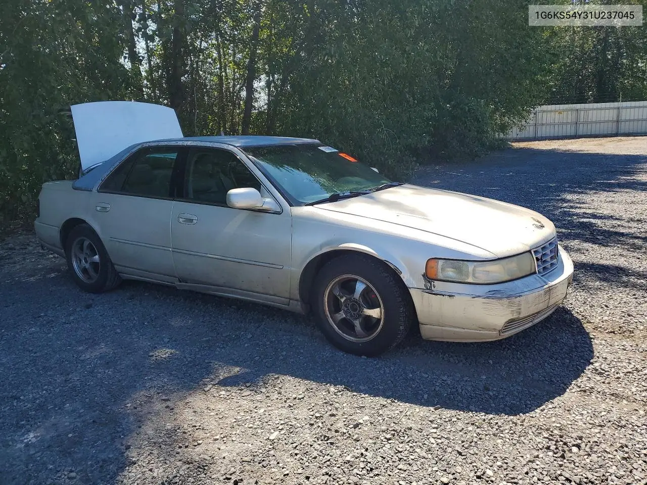 2001 Cadillac Seville Sls VIN: 1G6KS54Y31U237045 Lot: 59869816