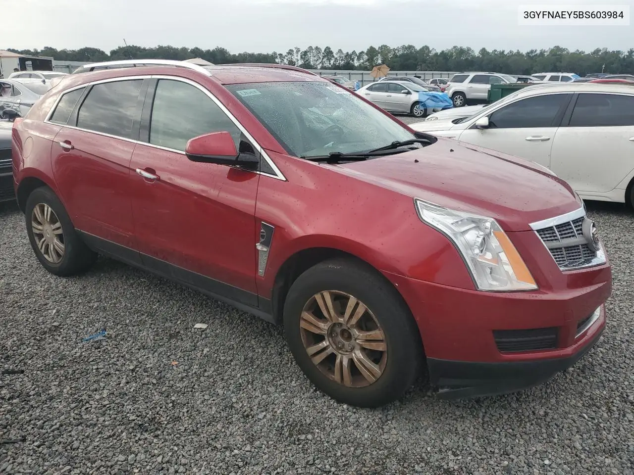 2011 Cadillac Srx Luxury Collection VIN: 3GYFNAEY5BS603984 Lot: 60598156