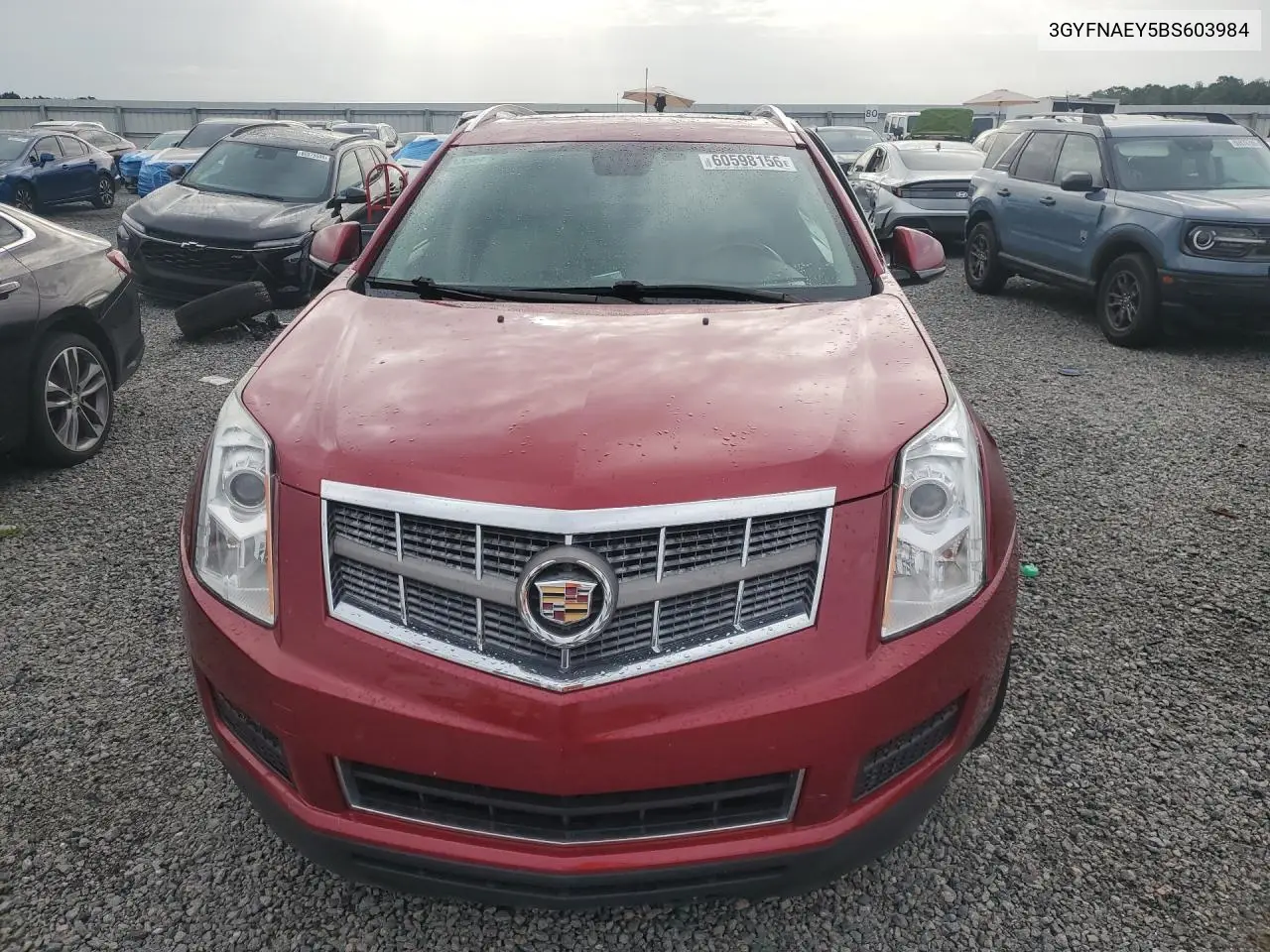2011 Cadillac Srx Luxury Collection VIN: 3GYFNAEY5BS603984 Lot: 60598156