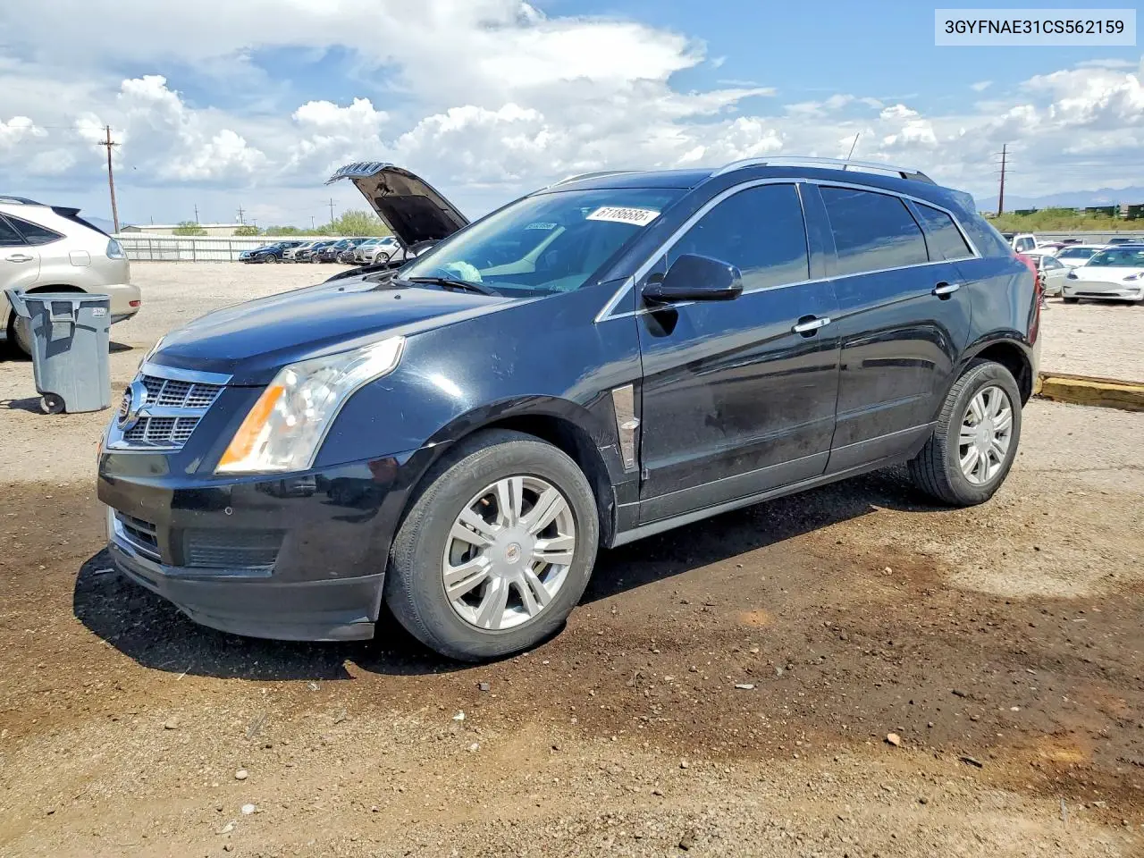 2012 Cadillac Srx Luxury Collection VIN: 3GYFNAE31CS562159 Lot: 61186686
