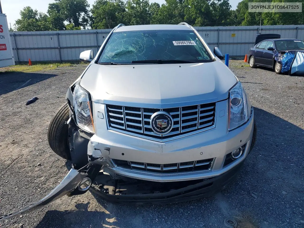2013 Cadillac Srx Premium VIN: 3GYPNJE31DS647525 Lot: 59986796
