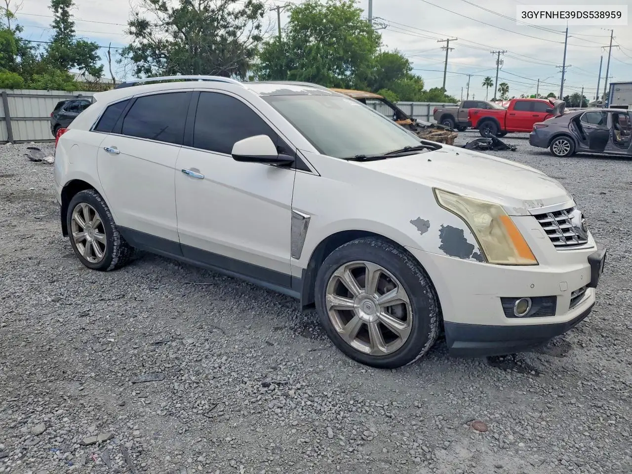 2013 Cadillac Srx Performance Collection VIN: 3GYFNHE39DS538959 Lot: 60250006