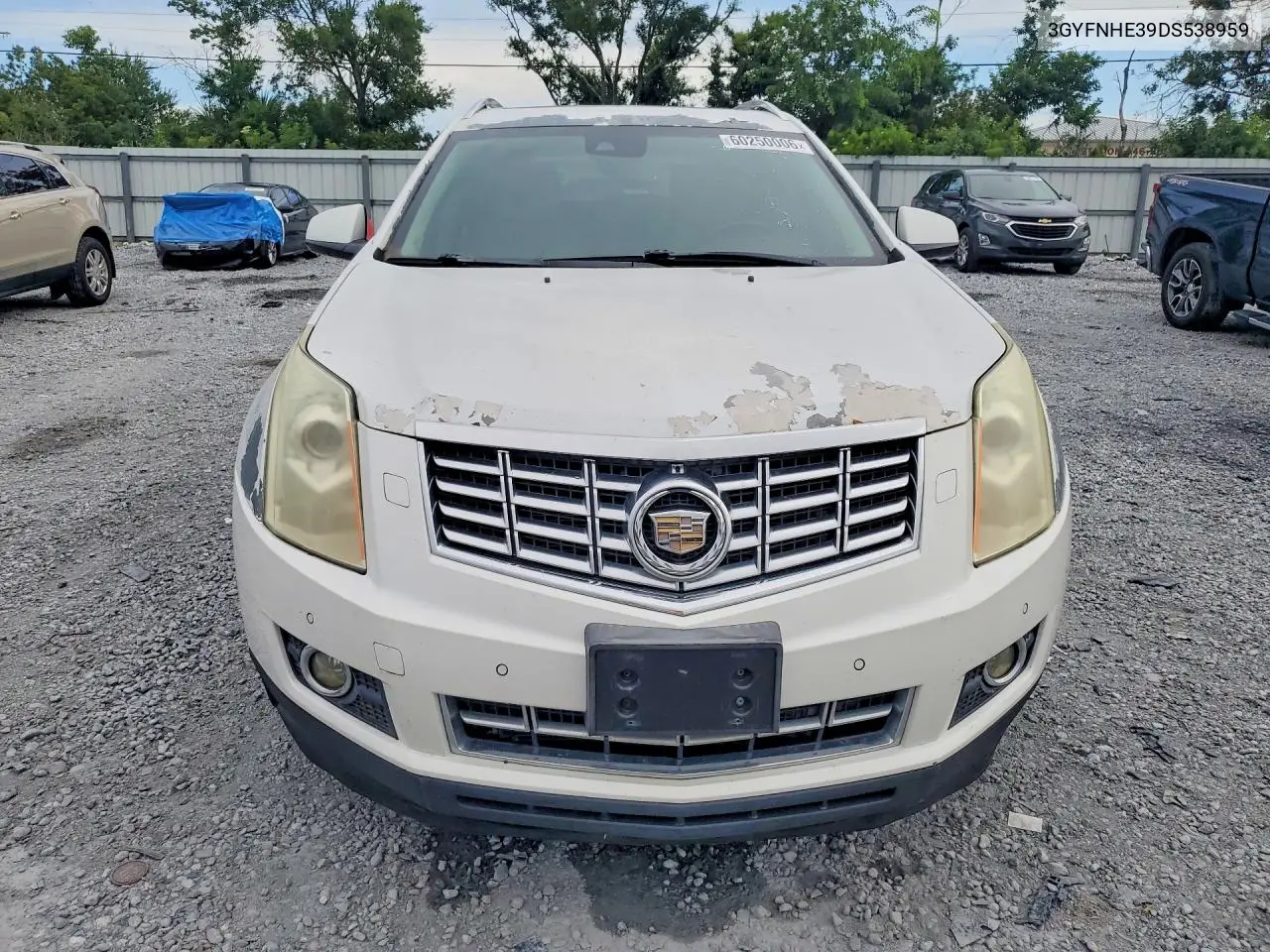 2013 Cadillac Srx Performance Collection VIN: 3GYFNHE39DS538959 Lot: 60250006