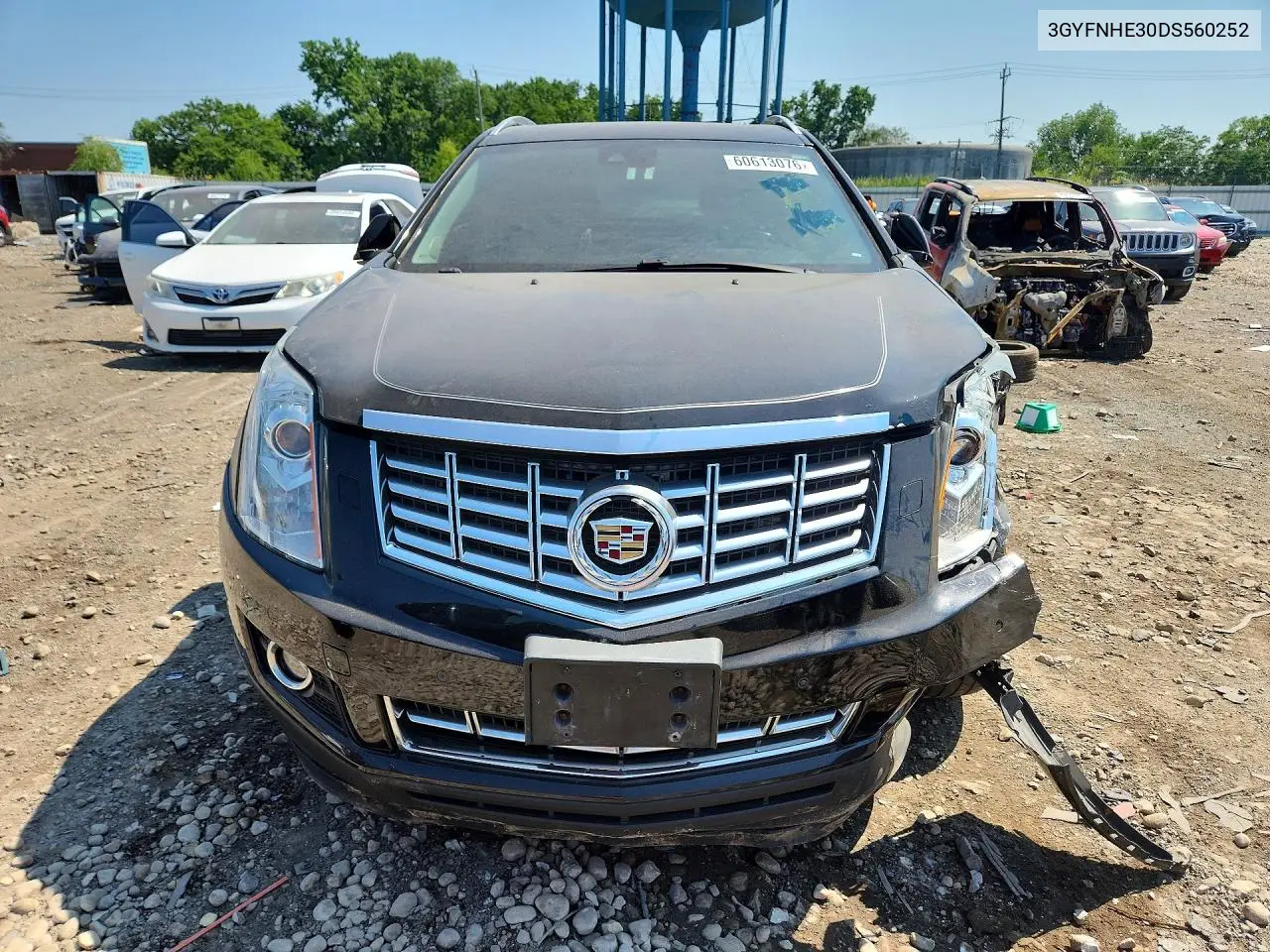 2013 Cadillac Srx Performance Collection VIN: 3GYFNHE30DS560252 Lot: 60613076