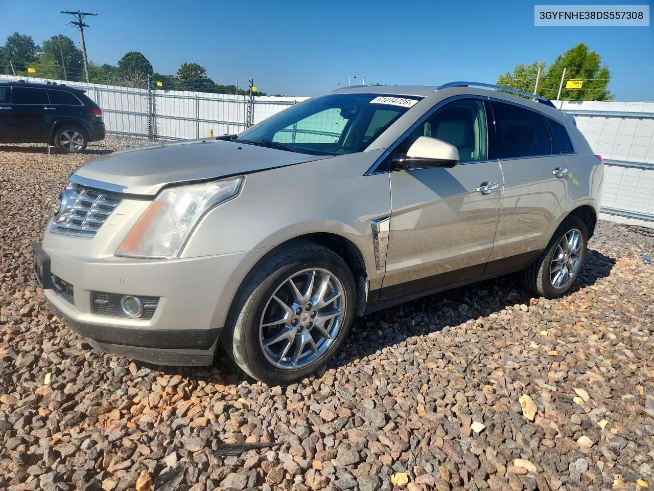 2013 Cadillac Srx Performance Collection VIN: 3GYFNHE38DS557308 Lot: 61014726
